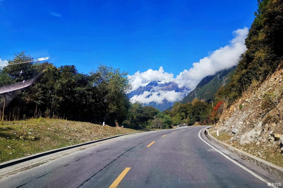 独自自驾游 欣赏最美的岗云杉林 体验环藏之旅的慢生活