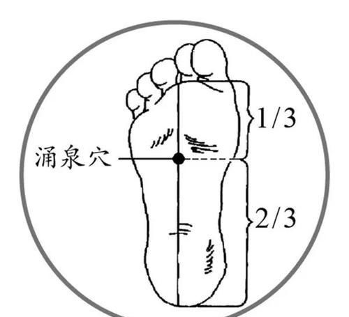  女性|不单是男人，女人也会肾虚！多吃2黑、常揉3处，肾一天比一天好