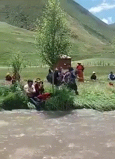 |搞笑GIF:大哥你这样拿蛋糕回去会不会被打