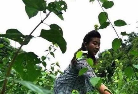 盘点农村随处可见的8大美食,也许你只看到过它们菜盘上的样子!