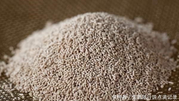 用酵母粉|用酵母蒸不出好吃馒头,有可能是方法错了,关键4点得注意