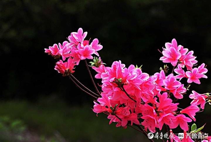 每日最佳情报｜今年第一次超级月亮来啦！恭喜壹粉喜提红包