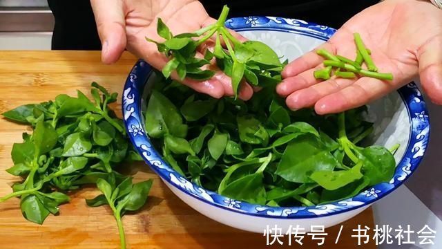 这菜叶子是个宝，可惜好多人当草，经常上火多吃点，凉拌吃最香