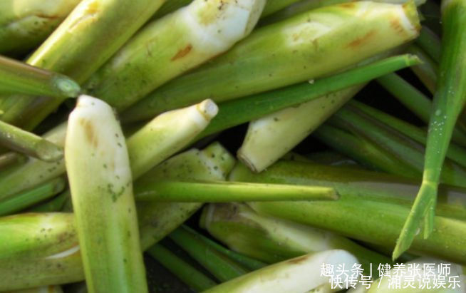 长寿老人都爱吃的3种食物,补充营养,健胃消食,好处多多