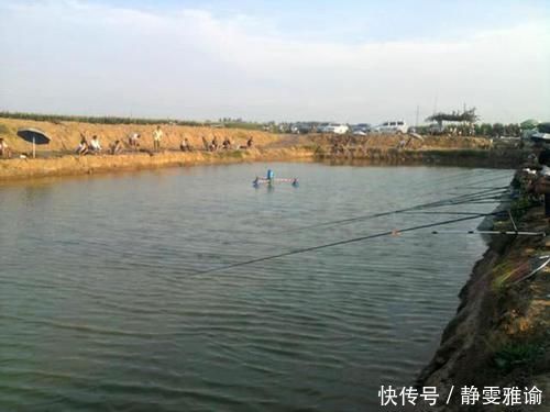 什么是黑坑,为什么现在很多鱼塘老板要求强制“回鱼”?