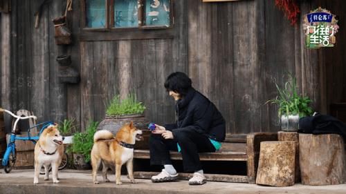 一日三餐|慢综艺「初心」与「流量」的困局丨理中客·综艺