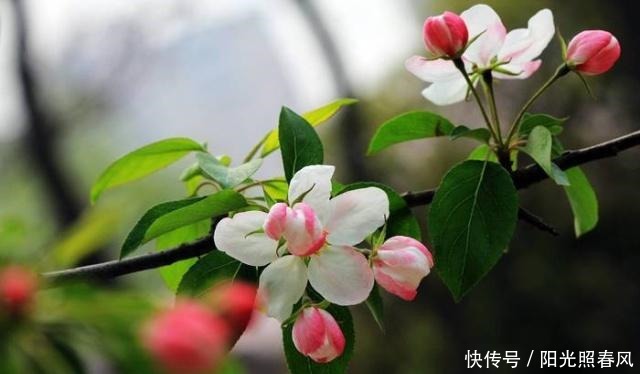 为人处世|真正厉害的人,为人处世,往往能做到这四点!