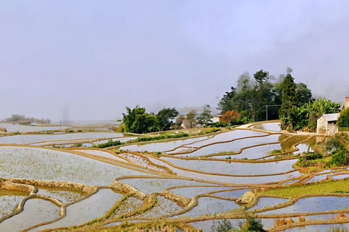 梯田|开车一小时海拔升高两千米，还全是盘山公路，却意外发现了蓝色梯田