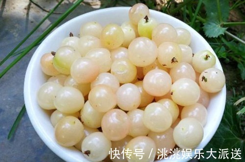 色斑|女性不想老得快,当零食吃几颗,淡化色斑,不贫血了,脸色更红润