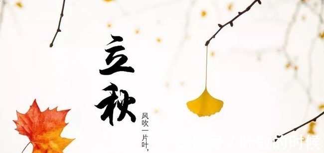 特香|立秋将至，把5款蔬菜晒成干，做法简单，耐储存，冬天炖肉特香！