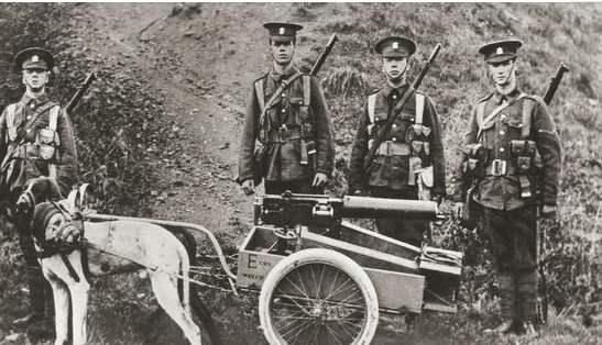 德国|赔款为何“不了了之”？一战后英国对德国赔款态度上的转变轨迹