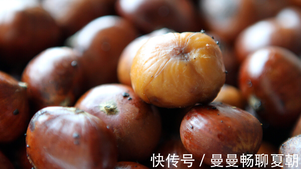板栗保存有技巧,试试这样保存,无需蒸晒不发黑起虫,保存更长久