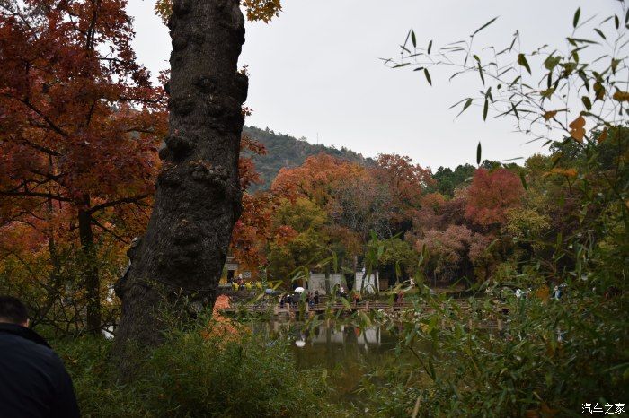 天平山|【喜迎国庆】停车坐爱枫林晚，霜叶红于二月花。游天平山赏枫叶