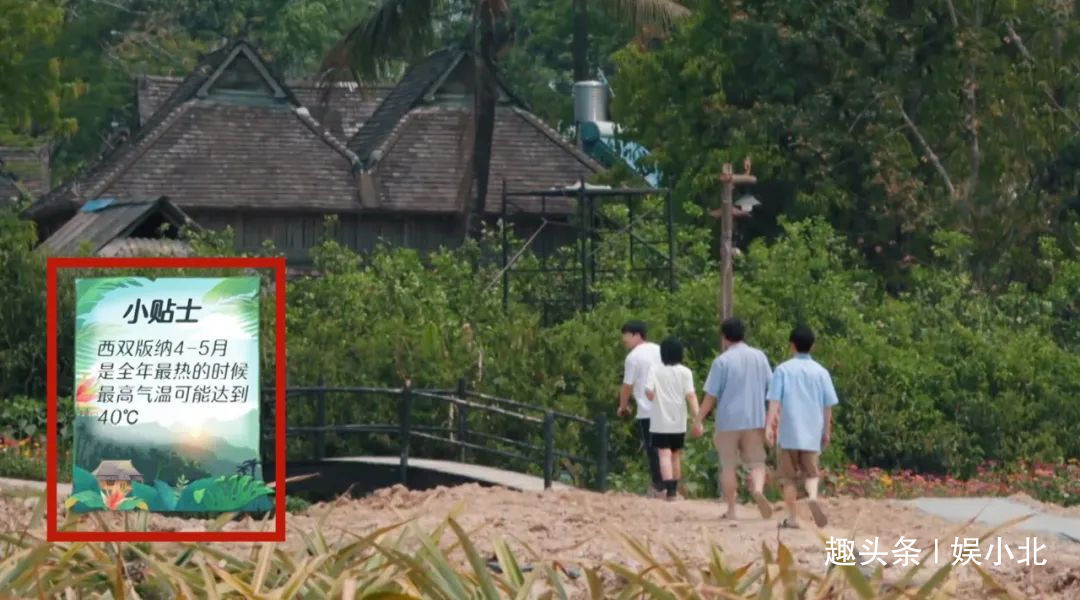 蘑菇|嘉宾重复请、广告太频繁、农活总干不完，被《向往4》劝退