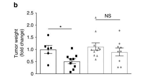 肿瘤|好心情可以“杀死”癌细胞?找到证据了