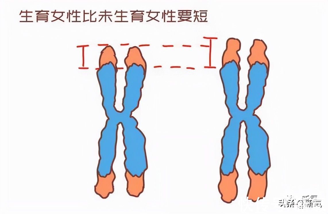 大妈|未解之谜！为啥她们30岁前美如女娲毕设，30岁后集体变大妈？