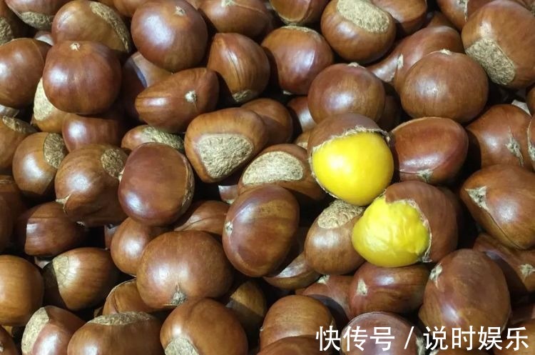 食物|每天不妨多吃3种食物,补充营养、延缓衰老,好吃又不贵!