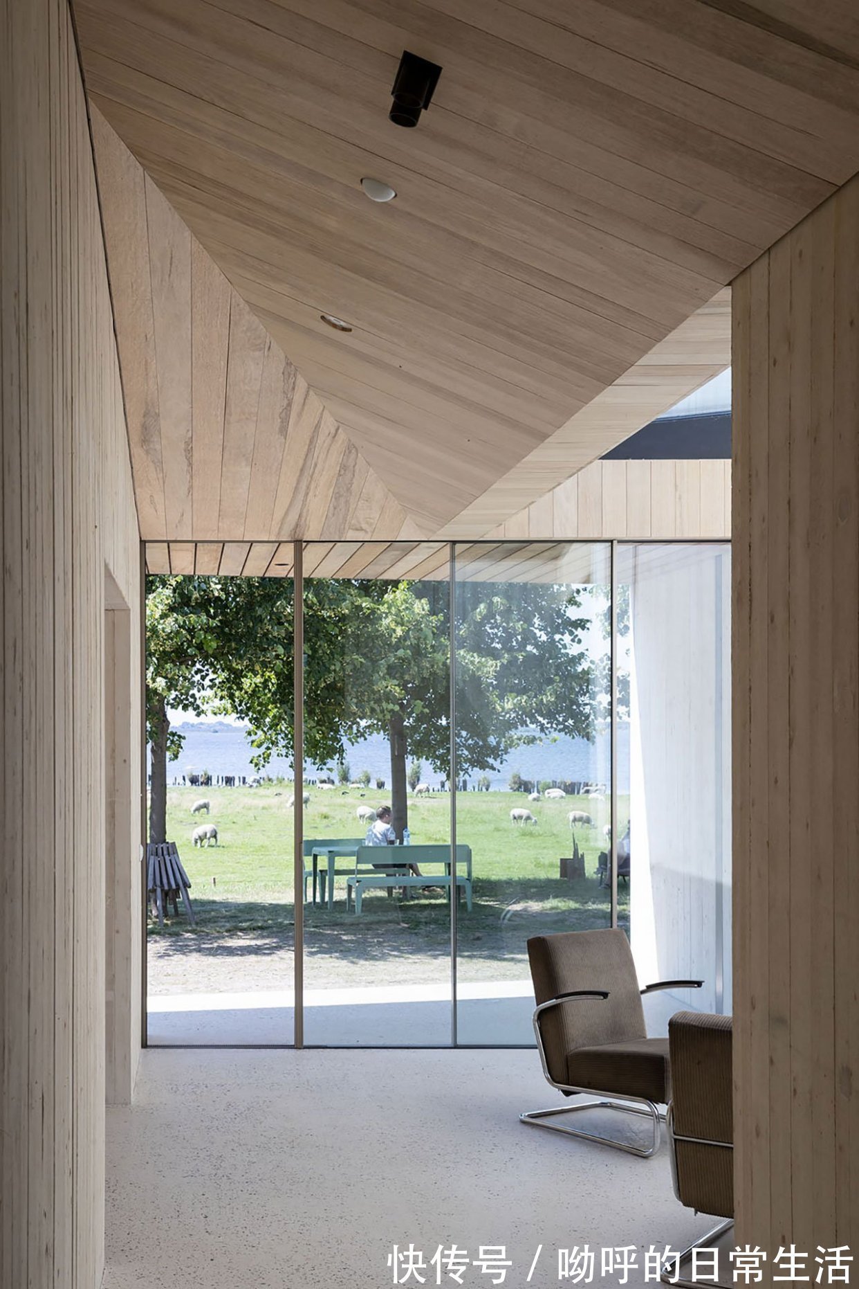 混凝土|2021年BNA最佳建筑奖：德科特·范·沙伊克设计极简主义住宅