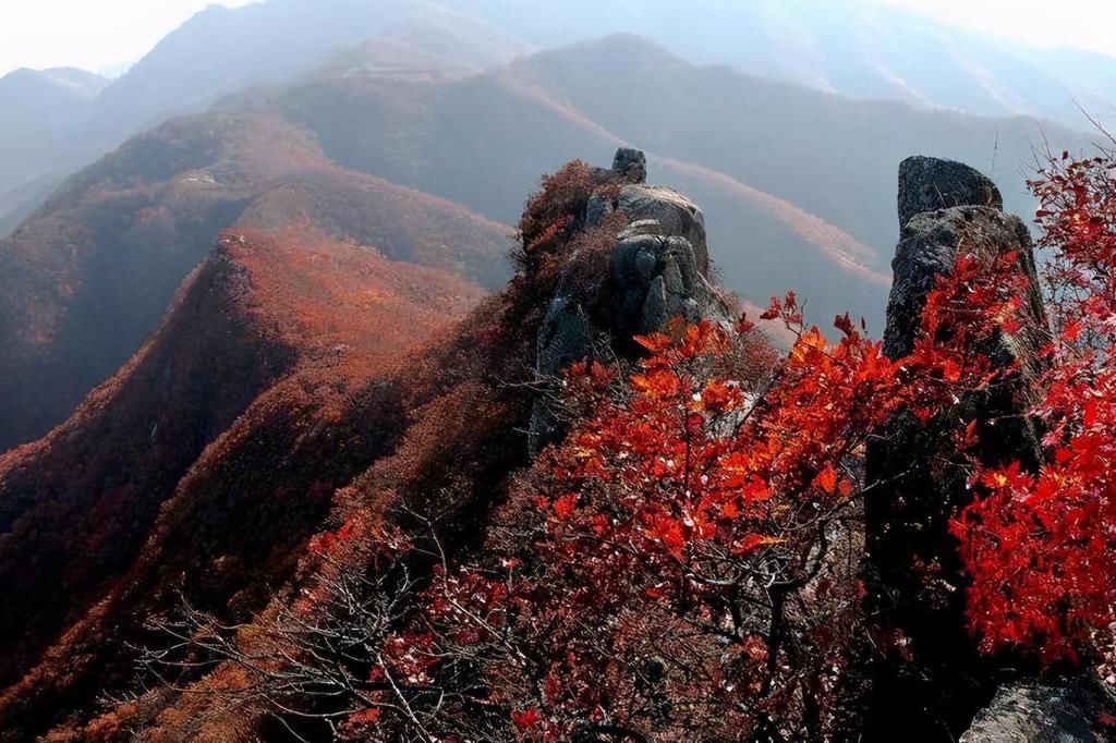 游人如织|辽宁“瑰丽”奇景“热榜”，号称城市“最美名片”，现今游人如织