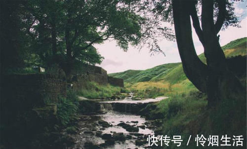 唐顺宗&刘禹锡的诗一向振奋人心,只有这首不一样,从开篇到结尾句句伤感