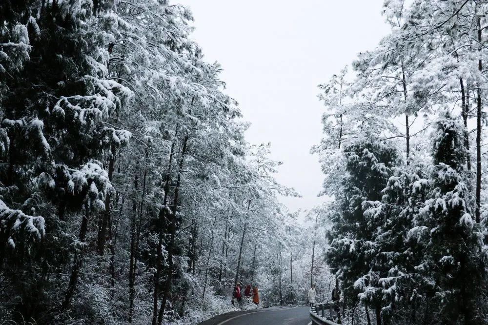 秘密|这个秘密只告诉你，刷爆朋友圈的广元雪景，都在这里了！