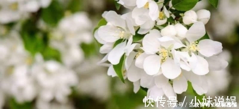 文人@苏轼看似很俗气的一首诗,但写得极为有趣,也是一首难得的佳作!