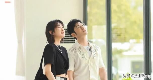 中餐厅5|《中餐厅5》最大败笔，黄晓明、丁真、姚安娜，没一个人懂烧菜的