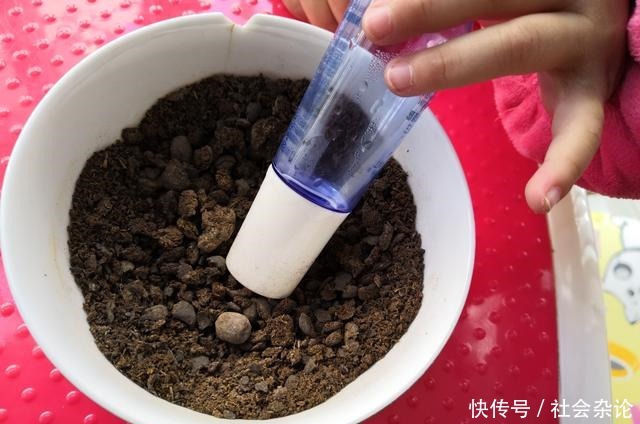 盆里撒点粉,兰花30天变了样,每年都开花