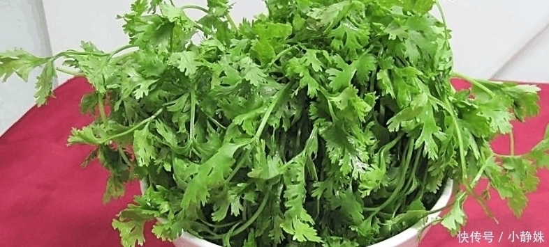 配料|香菜不是想吃就能吃的,身上有这4个特点的人,尽量不要碰它