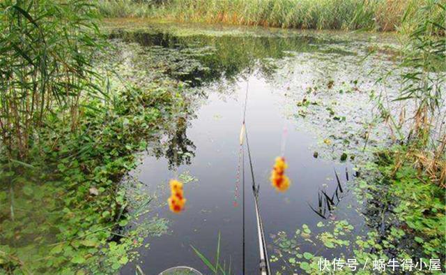 春天|限钓10年，只允许一竿一线一钩的钓法，传统钓的春天要来了吗？