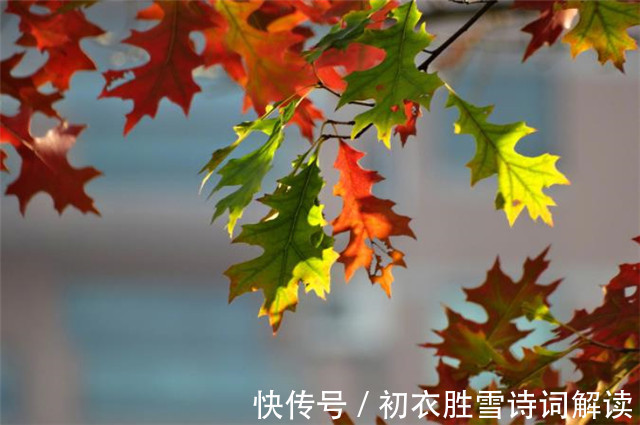 秋思|秋思古诗六首:洛阳城里见秋风,夜来秋气满人间