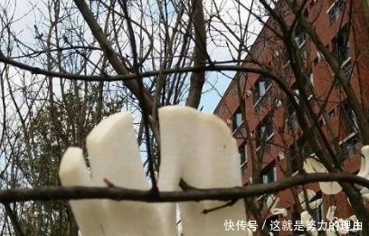 这4种蔬菜晒成干,味道比新鲜的还香!久放不坏,炖肉炒菜都好吃