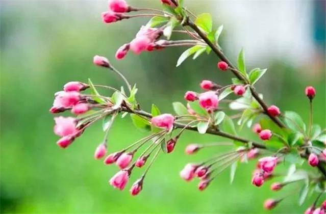 名言@《增广贤文》中很有深意的10句名言，感受古人哲学智慧