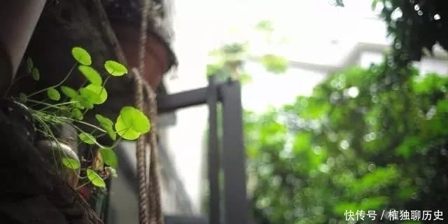 温庭筠|起名字没那么简单,这里边大有讲究,名字起得好,一生运气旺