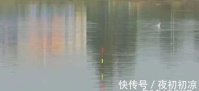 冬季|冬季正是钓鲤鱼旺季!只要掌握技巧,平时见不到的大鲤鱼频繁咬钩