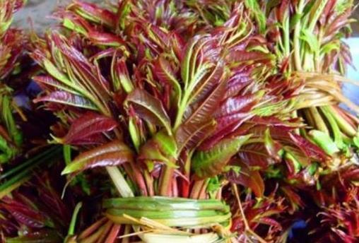 妇科炎症|女性子宫健康,皮肤才会红润,多吃此物,防妇科病,清子宫垃圾