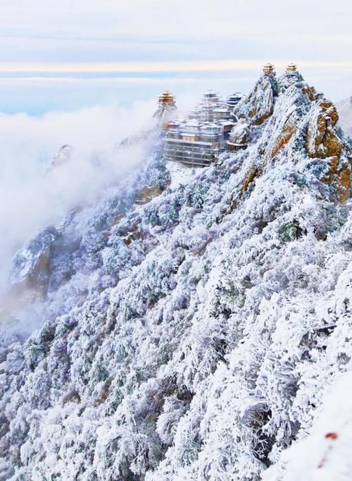 雾凇|点赞破百万的世界级雪景！雾凇云海，仿佛“误入天宫”，这里早该火了！