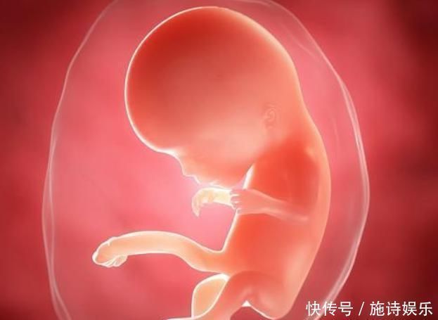 胎儿|胎儿每月都有在发育,这5个成长“关键期”,错过就补不回来了