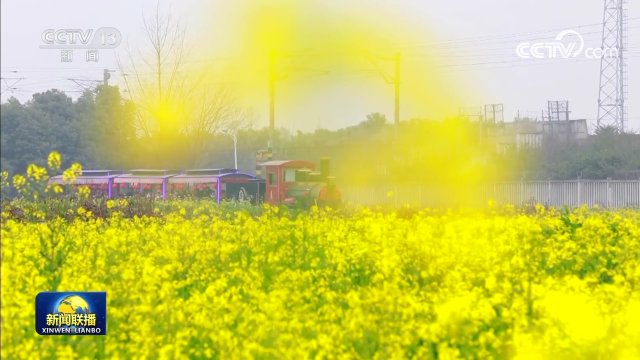 花开中国 春色锦绣