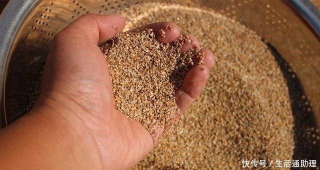 花盆落满小飞虫周围撒点它,3天就见效,小虫死翘翘!