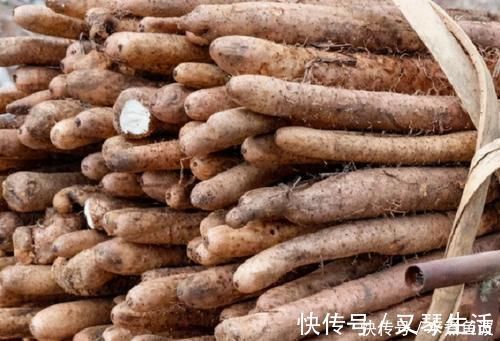 粗细|买山药，挑粗的还是细的？学会这3招，优质山药轻松拿下！