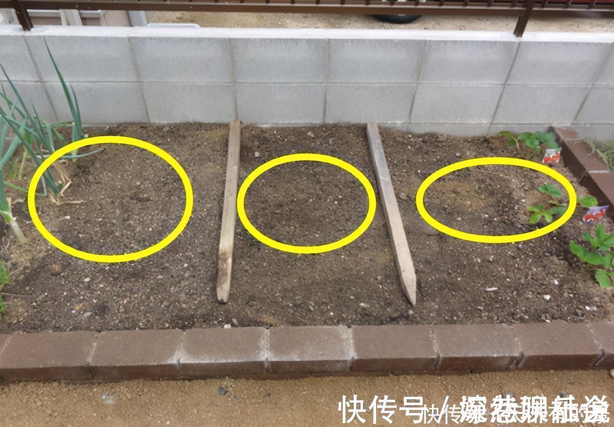 地砖|15㎡的门前小院可做成这样,能吃、能赏还能玩,很有生活气息!