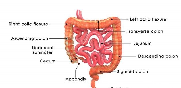 消化内科|女子头晕半年,以为患癌症,检查结果让她觉得重获新生