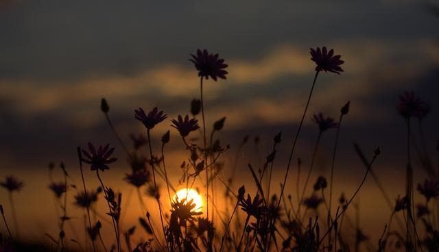 人生@心烦的时候,记住这3句话,让你受用一生