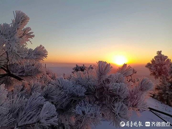 沂山|护林员镜头下的冬日沂山美翻了