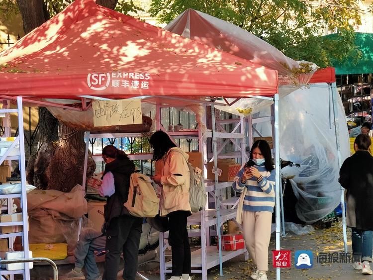 高峰|青岛大学今年“双十一”期间快递量比去年翻番预计本月中旬快递量达到高峰