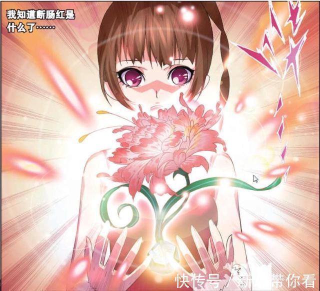 小舞|斗罗大陆:唐三送给“史莱克七怪”的“七朵花”有讲究?