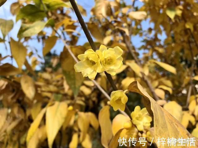 春天@南宋一尼姑外出踏春,寻春不到却写下一首悟道诗,千古流传