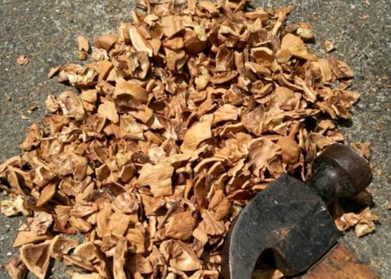 土壤|这些没人要的小东西，一遇上养花人，抢着带回家