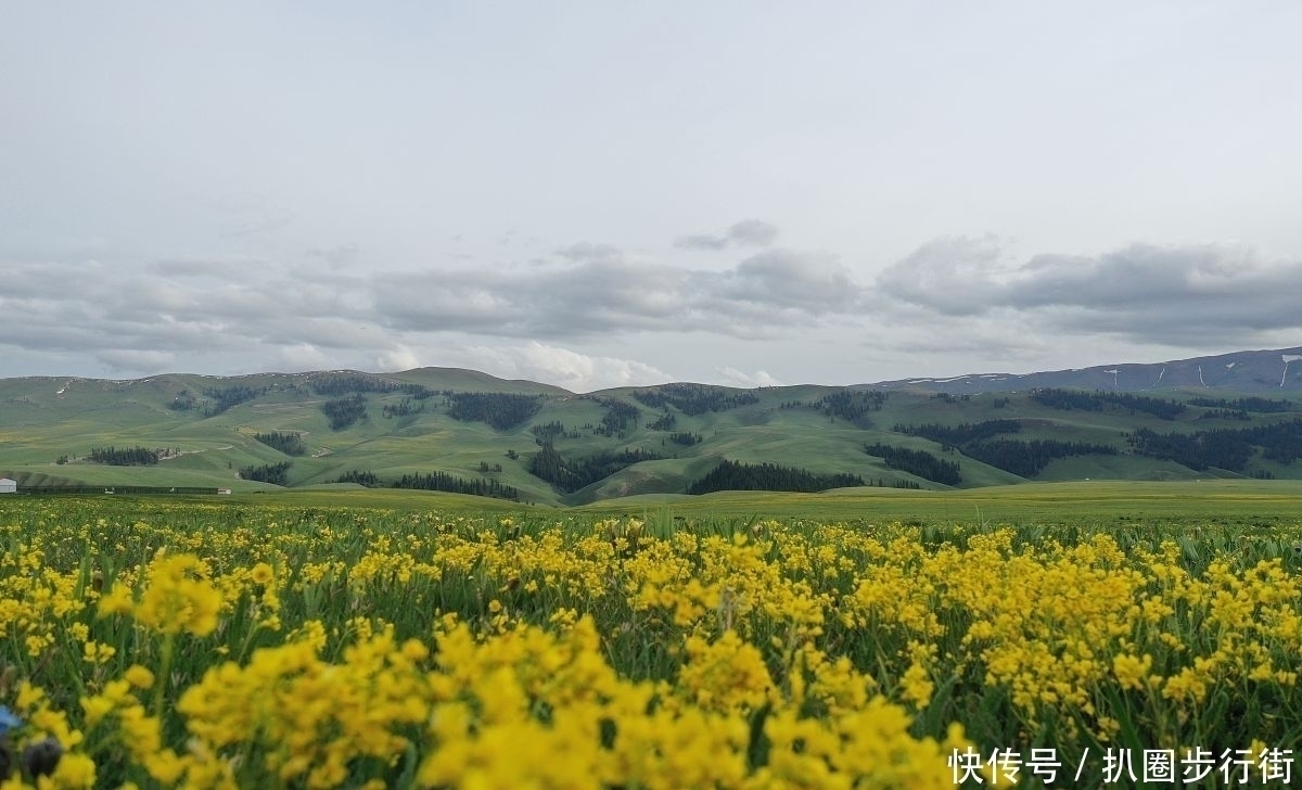 桃李天下!一代宗师叶嘉莹绝句30首。词心独具无人及,一卷长留万古芳